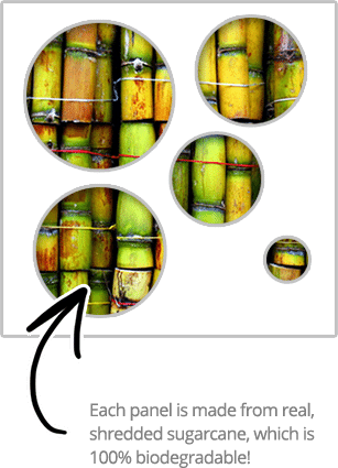 cta-sugarcane